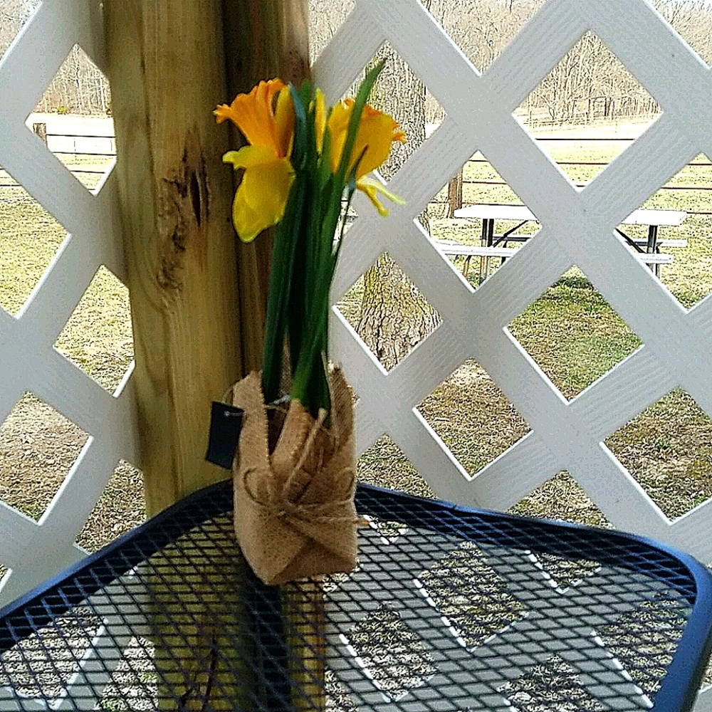 Spring flower's & Vase